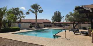 MOVE IN SPECIAL IN TEMPE: NEAR ASU Gallery 31