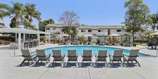 Vista Waterleaf Apartments Gallery 38