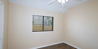 13702 Seahorse Gallery 21