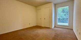 638park Gallery 13