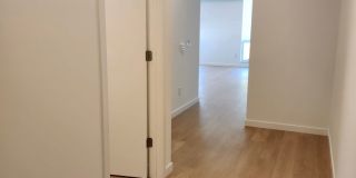 Arthaus Apartments Gallery 21