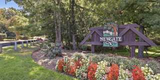 14314 WATERY MOUNTAIN Court Gallery 1