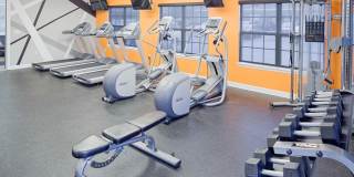 Irish Flats Gallery 5