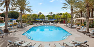 Homecoming at The Preserve Gallery 40