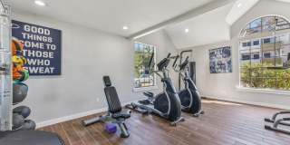 The Lantern Gallery 23