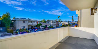 2026 Shenandoah St Gallery 4