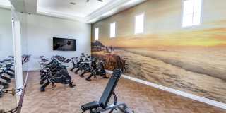 Avino Gallery 50