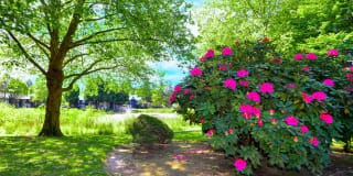 Woodlake Apartments Gallery 7