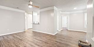 Olympus Fenwick Gallery 6