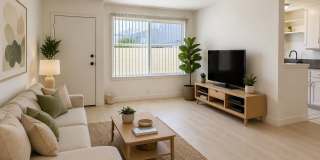 #705 Gallery 3