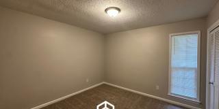 2295 Carrollwood Lane Gallery 21