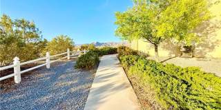 4467 E Dandelion Street Gallery 18