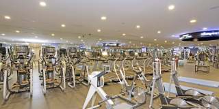 Torrey Gardens Gallery 18