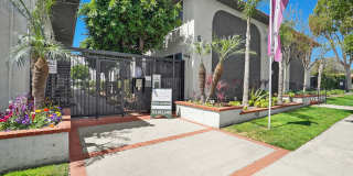 Tierra Del Sol Gallery 72