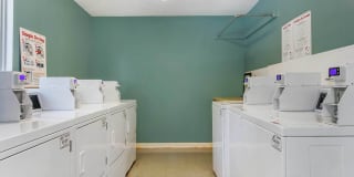 Advenir at Adams Farm Gallery 14