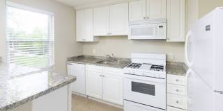 Rodgers Forge Gallery 26