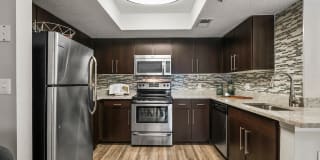 10X Port Royale 10X Port Royale Gallery 22