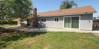 24245 Powell Place Gallery 4