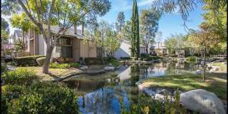 26701 Quail Creek Gallery 20