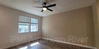 3805 Amelia Rose Way Gallery 11