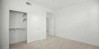 430 Lobata Gallery 13