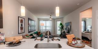 Chisholm at Tavolo Park Gallery 11