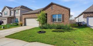 4615 Serpens Gallery 1