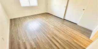 1008 Falconhead Lane Gallery 5