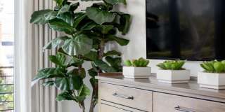 CDM Property Gallery 12