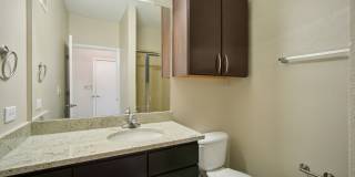 COLE COLE Gallery 50