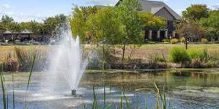 Magnolia Ranch Gallery 10
