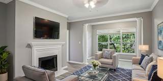 Bridford Lake Gallery 1