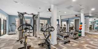 The Briscoe The Briscoe Gallery 13