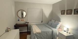 See YT Video!  No Fee!  Huge & Sunny Apt near Ts & Cleveland Cirlce.  Cat Friendly Gallery 1