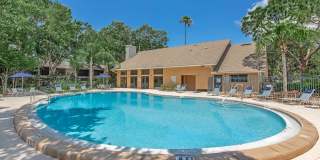 Solana Vista Gallery 8