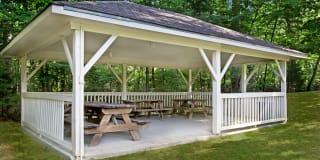 Turtle Lake Gallery 19