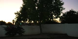 8645 N Auriga Way Gallery 3