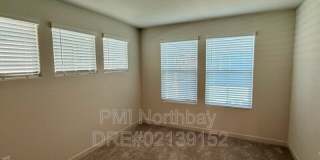 109 Clownfish Street Gallery 7