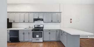 169 Mount Prospect Ave Gallery 7