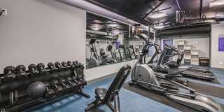 River 595 Gallery 25