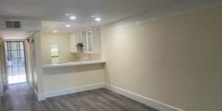 382 Orange Blossom Gallery 2