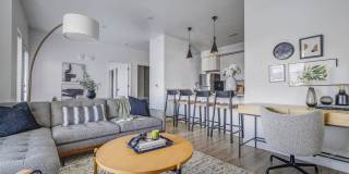 Terra Vista Gallery 6