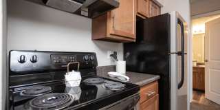 Available now, in Dublin City Schools! Gallery 28