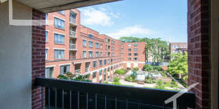 Huge 2 bed in Allston Gallery 15