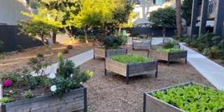 Miracle Terrace - Senior & Affordable Housing Gallery 5
