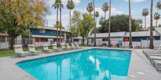 Sunrise in Chandler Gallery 13