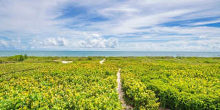 2280 Silver Sands Court Gallery 1