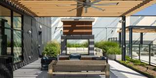 Starling Gallery 26