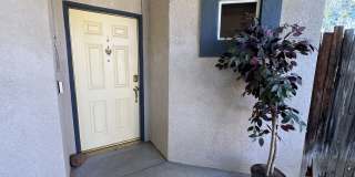 9708 Bossa Nova Ct Gallery 4