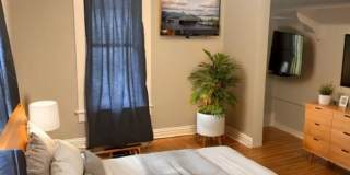 Beautiful 3 Bed/2 Bath in Downtown Colorado Springs! Gallery 19